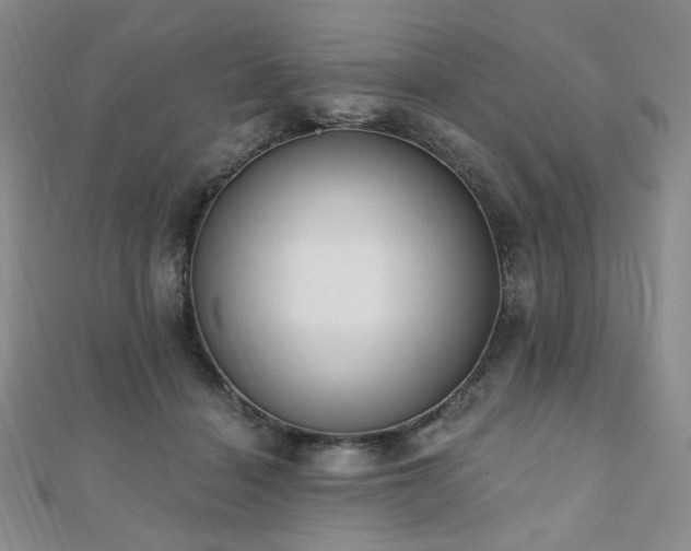 X0000110740460200906151107