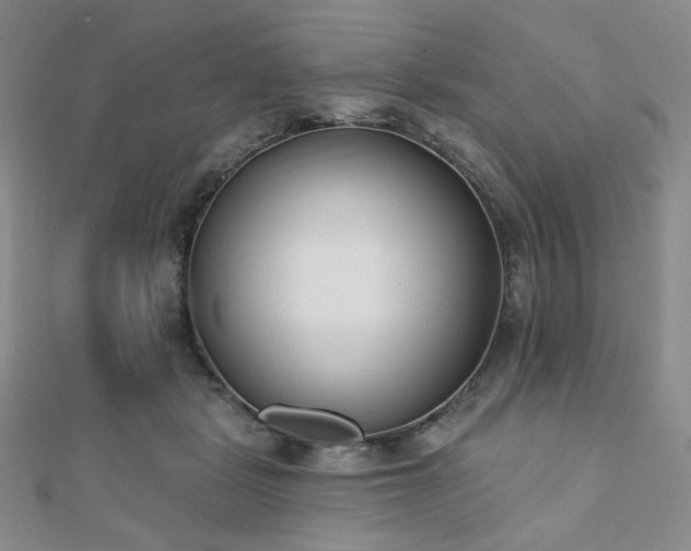 X0000110740461200906151107