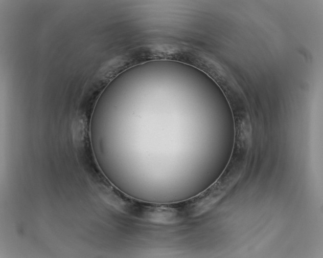 X0000110740463200906151107