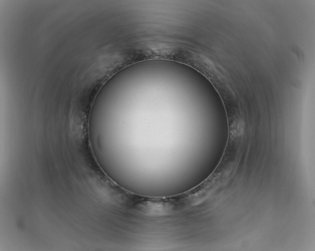X0000110740464200906151107