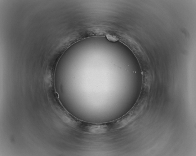 X0000110740465200906151107