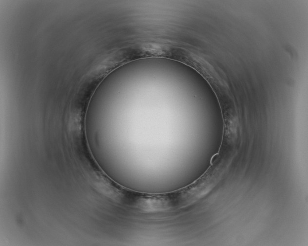 X0000110740466200906151107