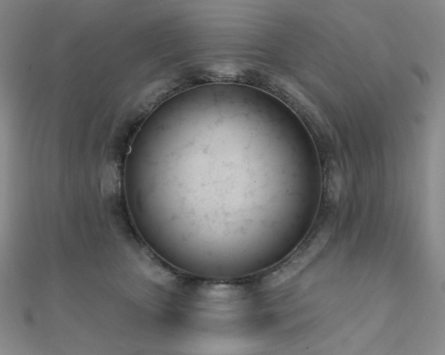 X0000110740467200906151107