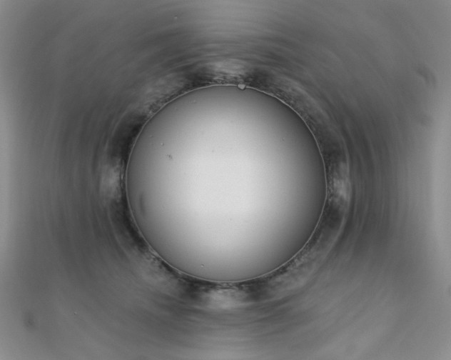 X0000110740468200906151107