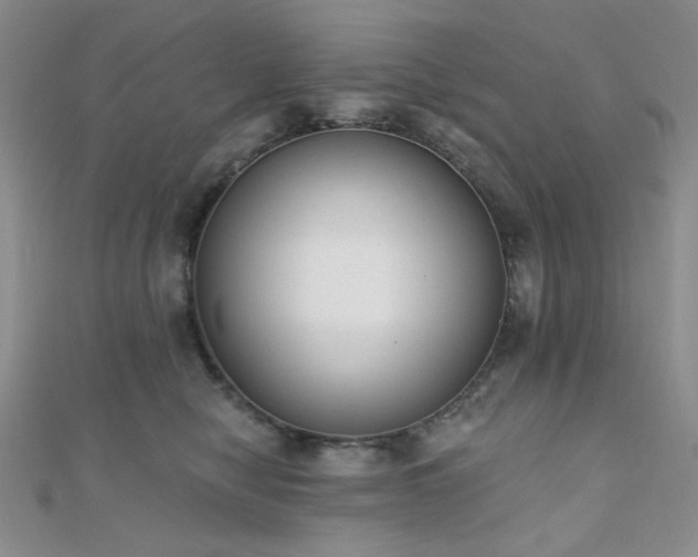 X0000110740470200906151107