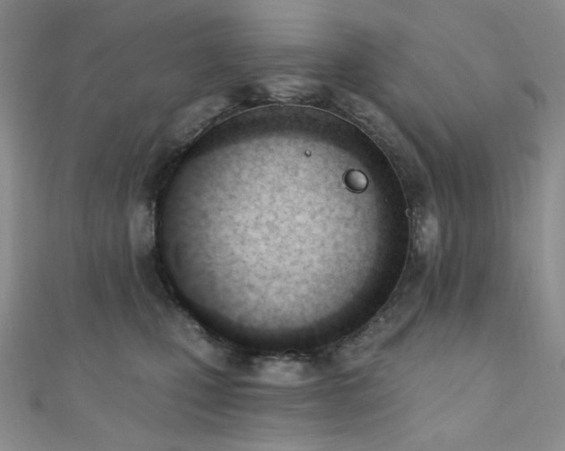 X0000110740471200906151107