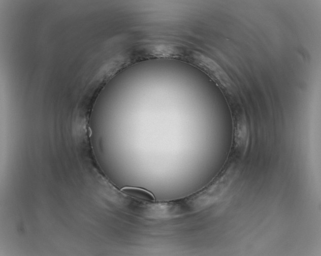 X0000110740473200906151107