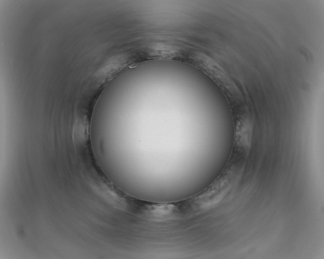 X0000110740474200906151107