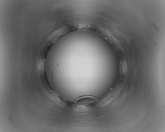 X0000110740475200906151107