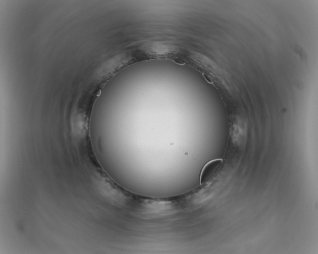 X0000110740476200906151107
