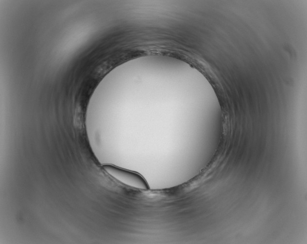 X0000110740477200906151107
