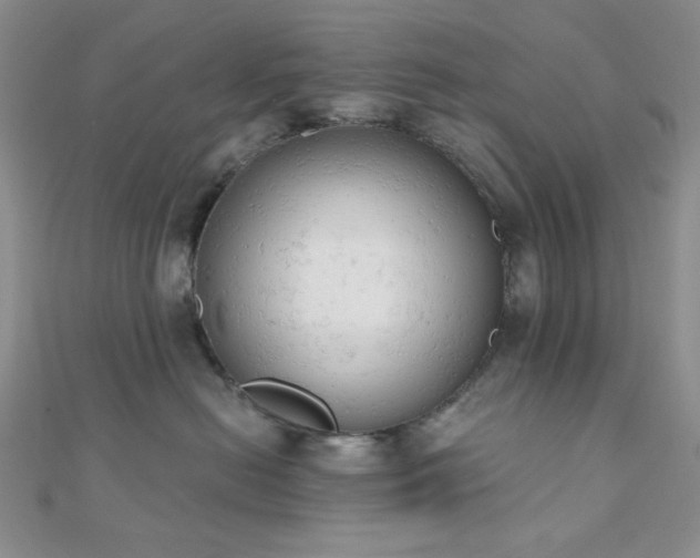 X0000110740478200906151107