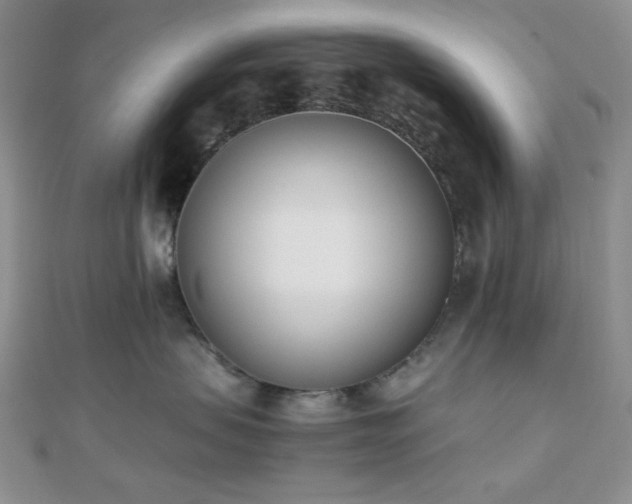 X0000110740479200906151107
