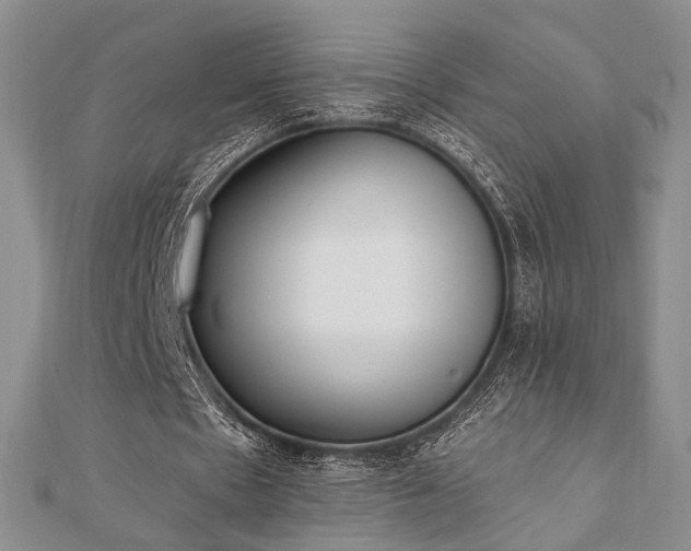 X0000110740481200906151107