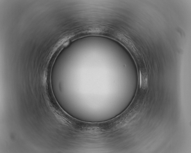 X0000110740483200906151106