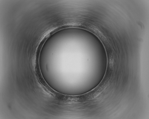 X0000110740484200906151106