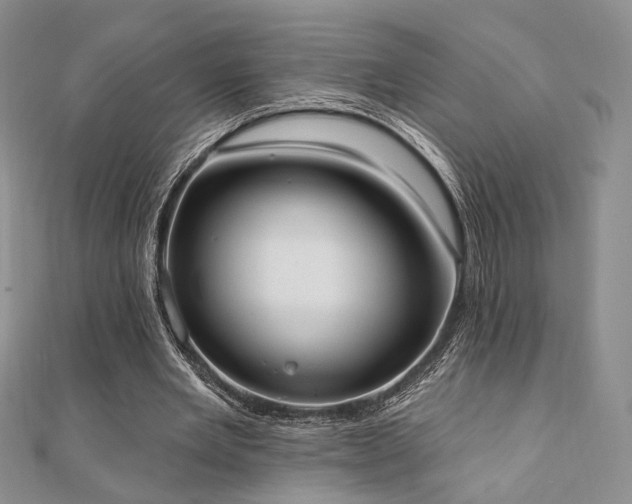 X0000110740485200906151106