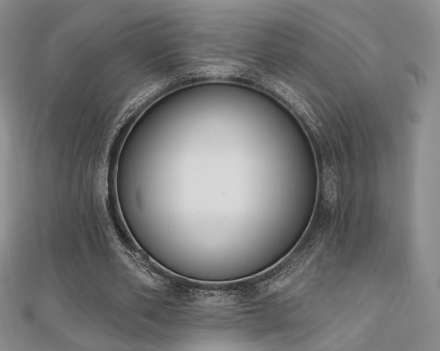 X0000110740486200906151106