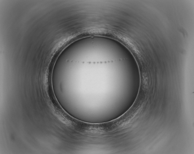 X0000110740487200906151106