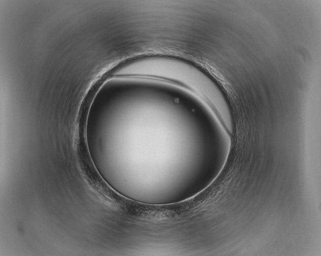 X0000110740488200906151106