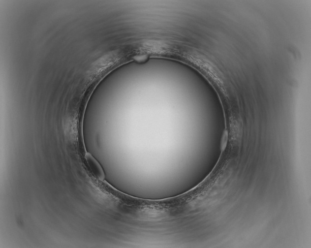X0000110740489200906151106