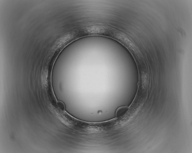 X0000110740490200906151106
