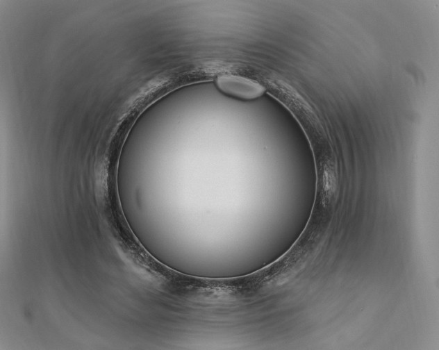 X0000110740492200906151106