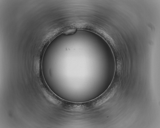 X0000110740493200906151106