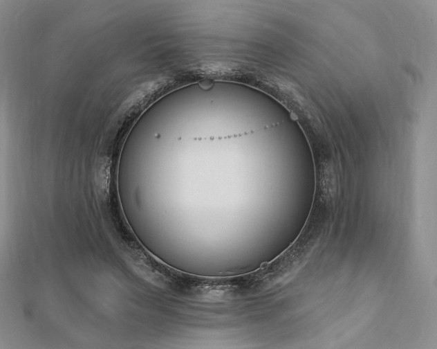 X0000110740495200906151106