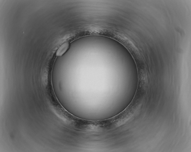 X0000110740496200906151106