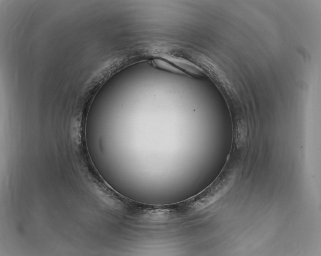 X0000110740497200906151106