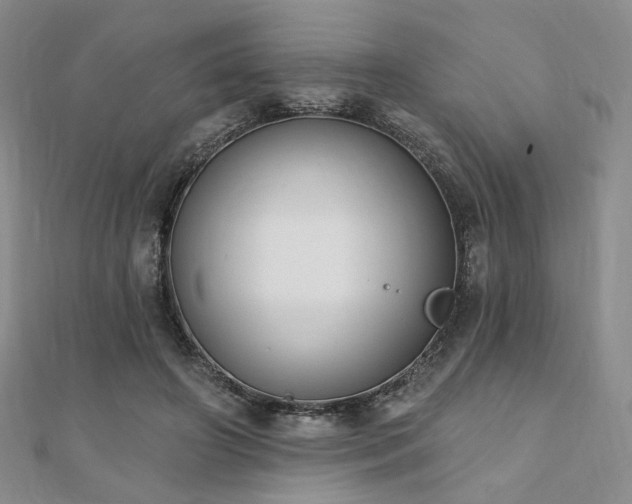 X0000110740498200906151106