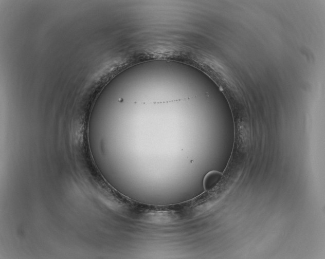 X0000110740499200906151106
