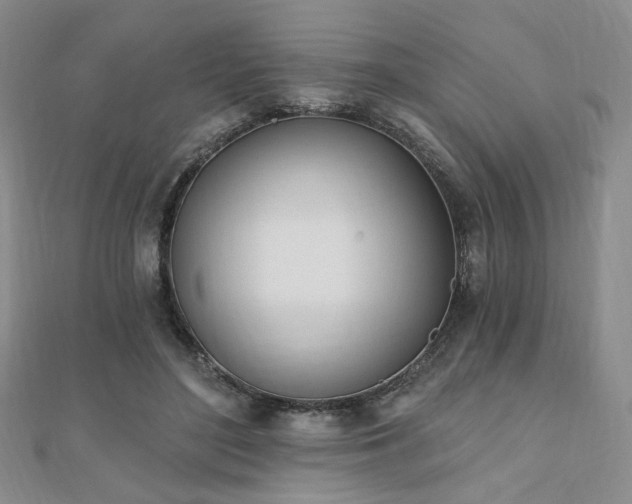 X0000110740500200906151106