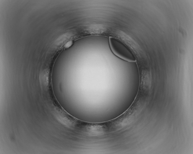 X0000110740501200906151106