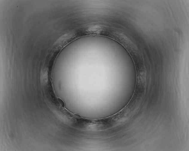 X0000110740504200906151106