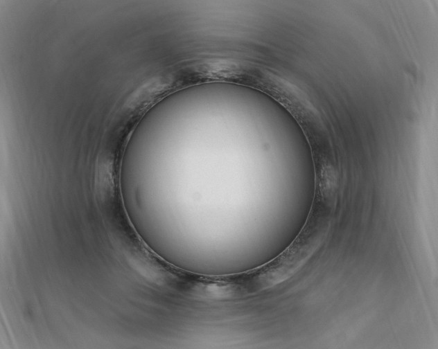X0000110740506200906151106