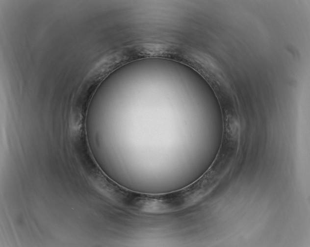 X0000110740507200906151106