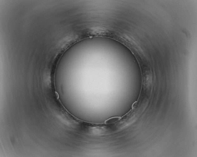 X0000110740508200906151106
