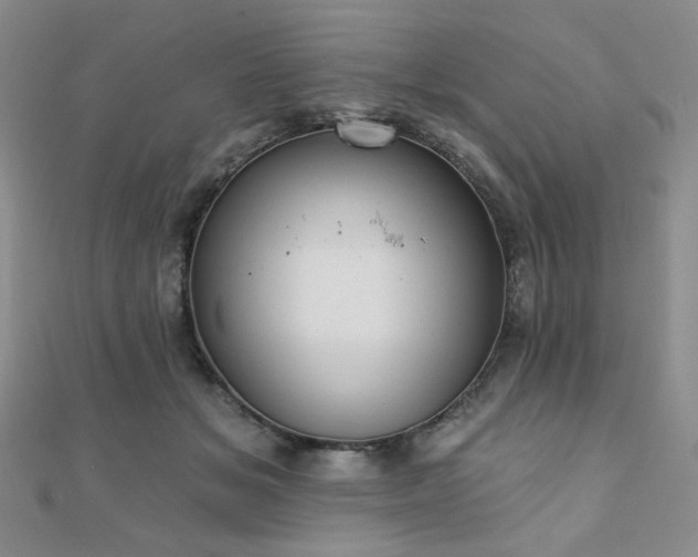X0000110740509200906151106