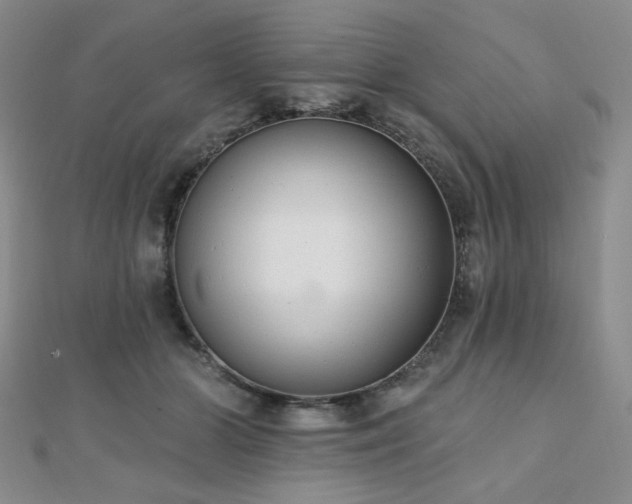 X0000110740510200906151106