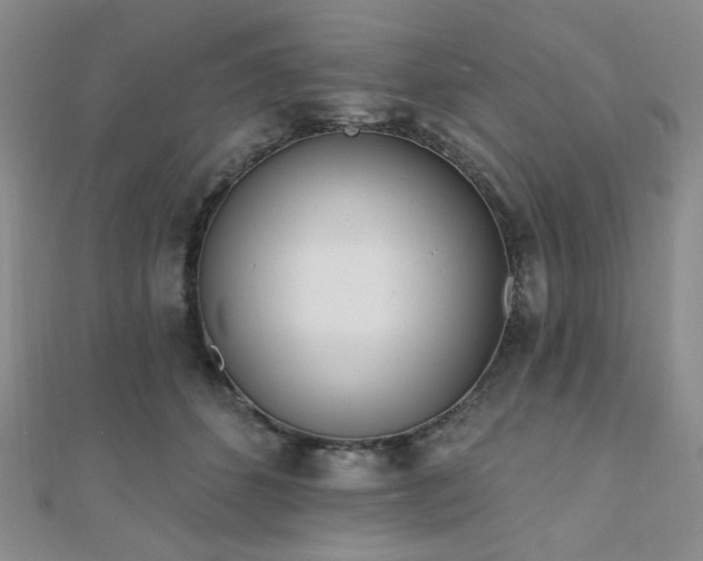 X0000110740512200906151106