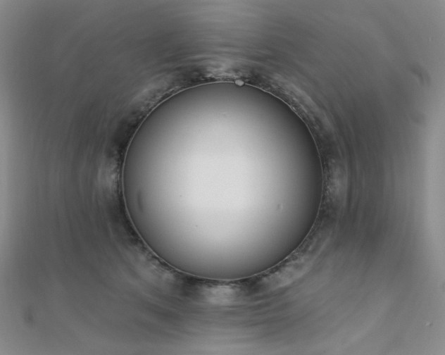 X0000110740513200906151106