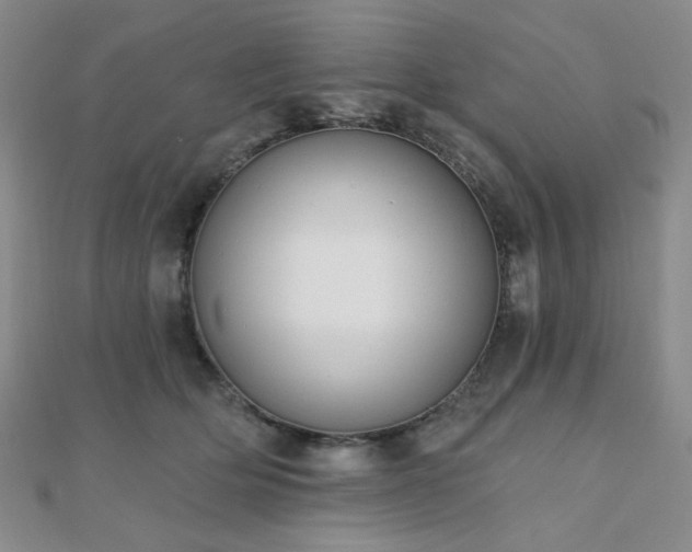 X0000110740514200906151106