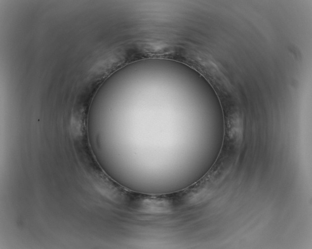 X0000110740515200906151106