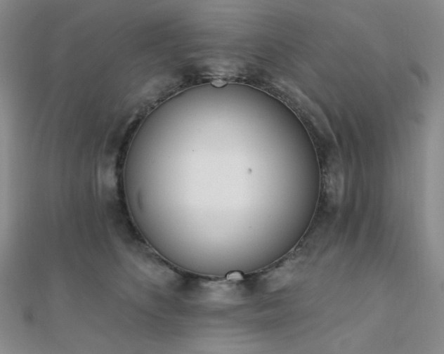 X0000110740516200906151106