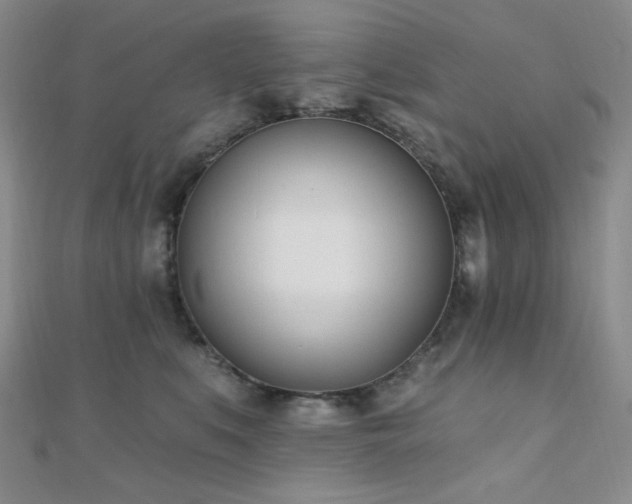 X0000110740519200906151106
