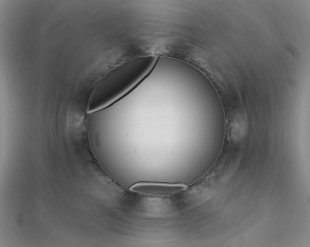 X0000110740521200906151106
