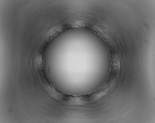 X0000110740523200906151106