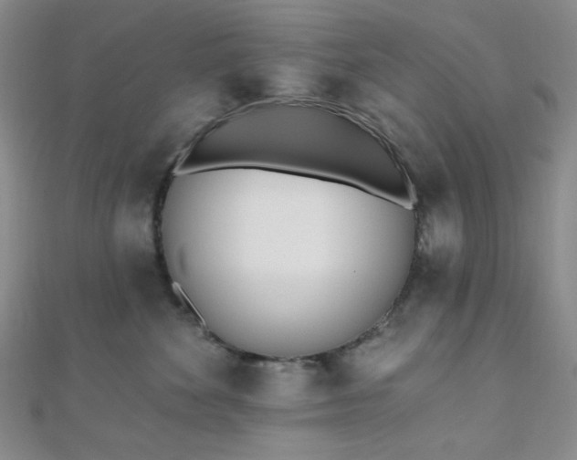 X0000110740524200906151106